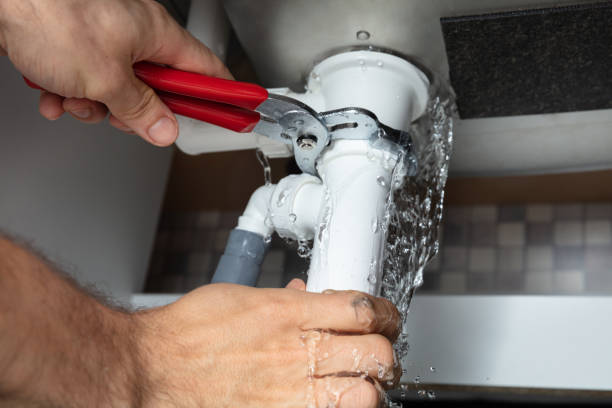Best Water damage restoration near me  in Melrose, MN