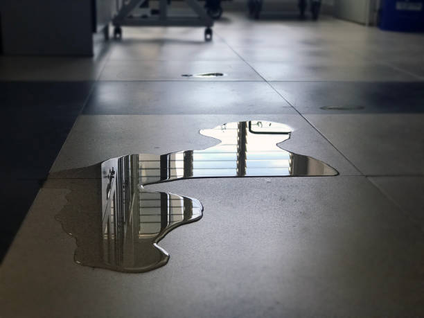Best Water damage restoration cost  in Melrose, MN