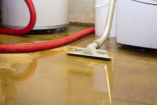 Best 24-hour water damage restoration  in Melrose, MN