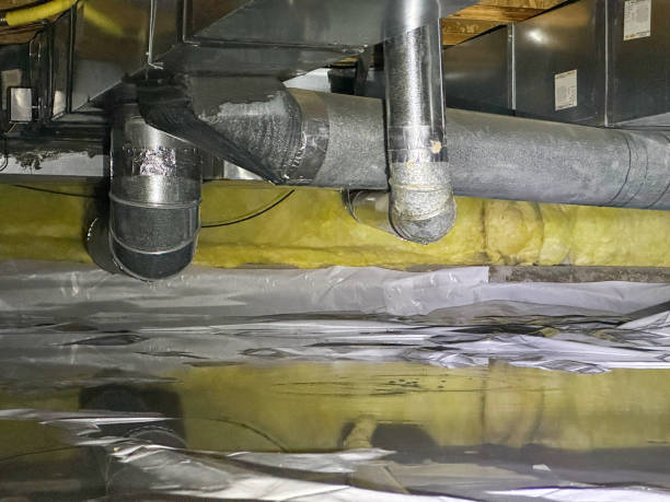 Best Flood restoration services  in Melrose, MN