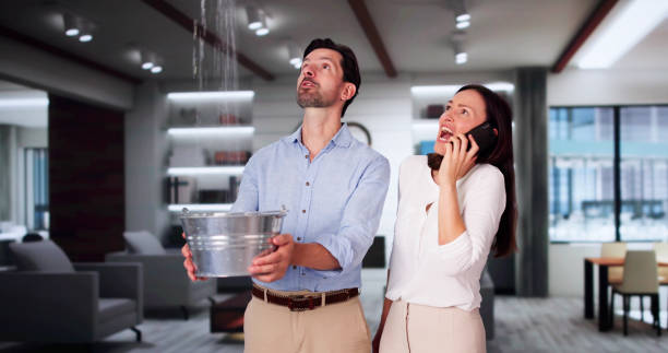 Best Basement water damage restoration  in Melrose, MN