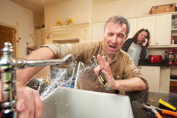 Best Water damage contractors near me  in Melrose, MN